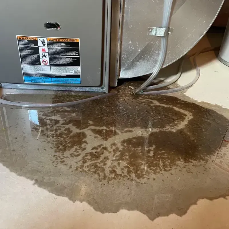 Appliance Leak Cleanup in Mercer, PA